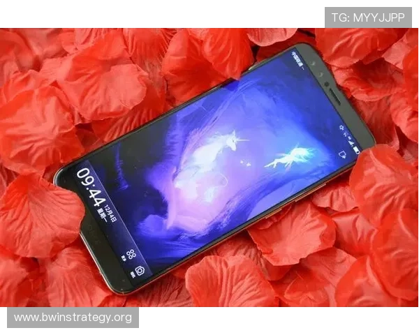 德赢线上官方入口网站常见问题解答及客服支持服务全面提升用户体验